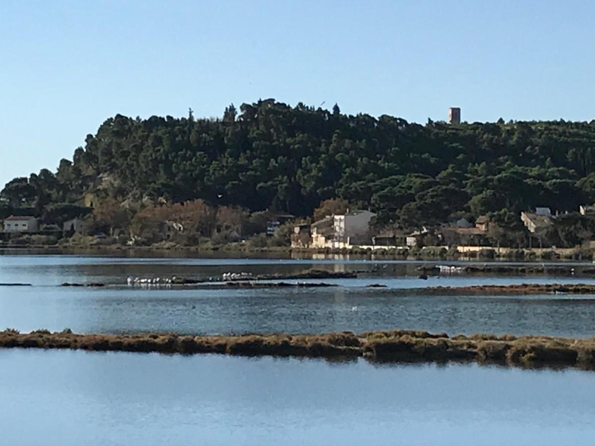 Parenthese Au Bord De L'Etang Appartement Bages  Buitenkant foto