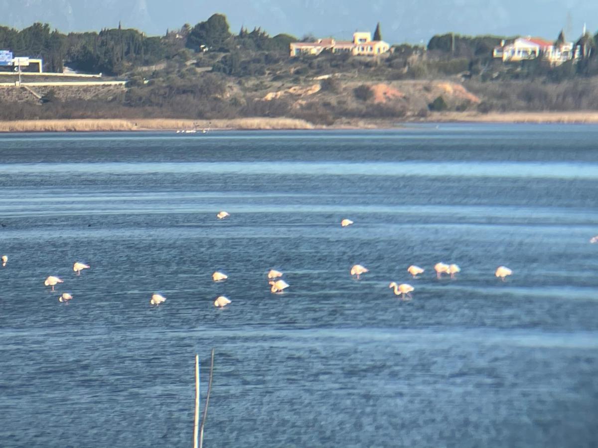 Parenthese Au Bord De L'Etang Appartement Bages  Buitenkant foto